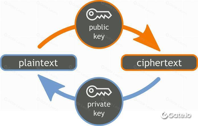 一文读懂公钥密码术 (PKC) Gate.io | 具有两个不同密钥的密码协议