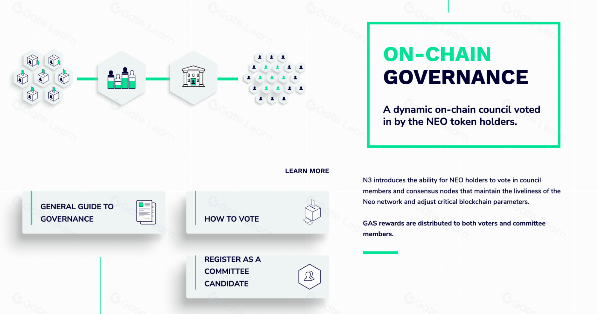 什么是Neo (NEO & GAS)？